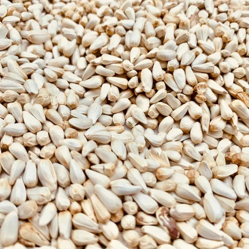 Cream Forage Crop Seeds Planting Guide: Essential Tips for Successful Planting