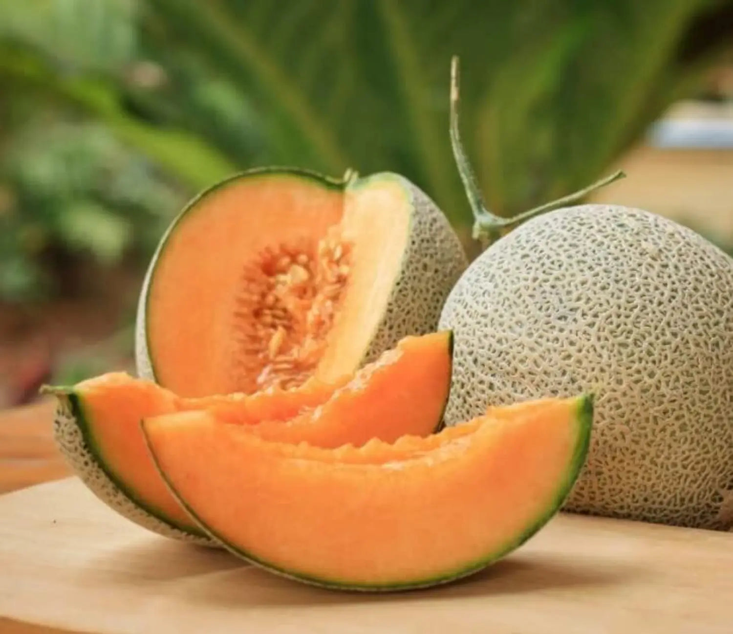 Orange Melon Vegetable Seeds for Easy Planting