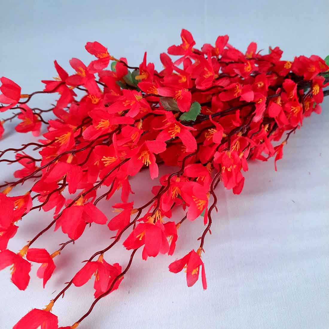 Red Weeping Forsythia Flower seeds for Planting - Colorful Display, Heirloom & GMO Free Seeds for Home Garden