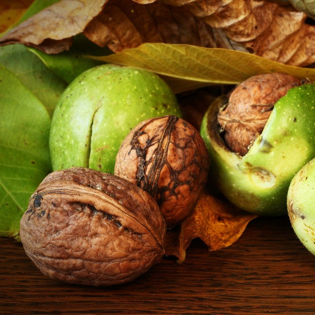 Green Walnut Fruit Planting Seeds - Nutritious Seeds for Home Gardening & Sustainable Planting - Evergrowseeds