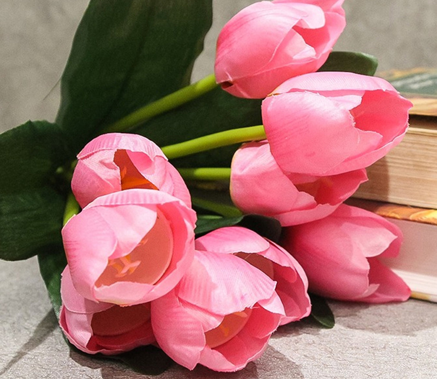 Light Grey Tulip Flower Seeds for Planting Hardy Variety Heirloom & GMO Free Seeds for Home Garden Sale