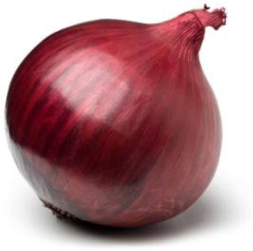 Burgundy Red Onion Seeds Allium cepa for Planting in Kitchen Garden and Raised Beds