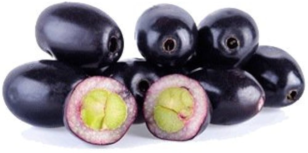 Organic Plum Fruit Seeds Prunus domestica for Planting in Vegetable Patch