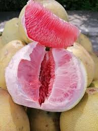 Davao Pomelo Fruit Seeds For Planting - Tropical Citrus Home Gardening