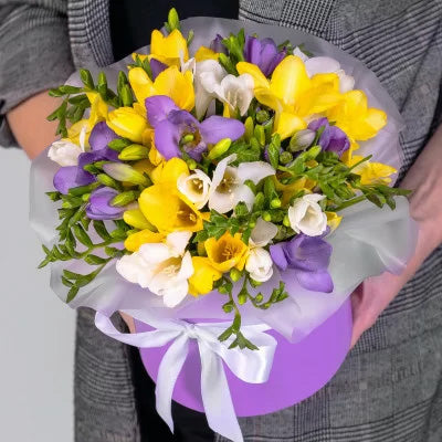Violet Yellow Freesia Flower Seeds for Planting Cottage Garden Essential Heirloom & GMO Free Seeds for Home Garden
Sale