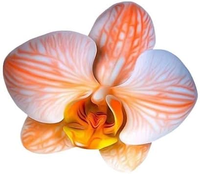 Phalaenopsis Orchid Flower seeds blooming in flower beds, containers, borders, and pollinator-friendly gardens