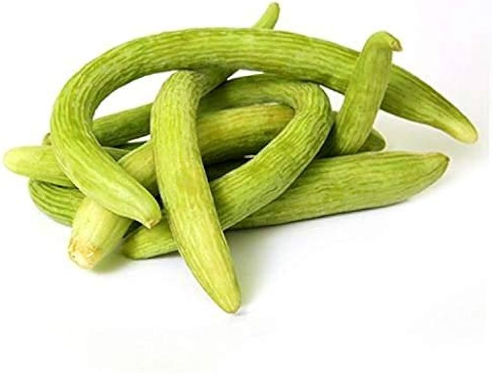 Long Cucumber Cucumis sativus Seeds for Planting vegetable patch urban garden