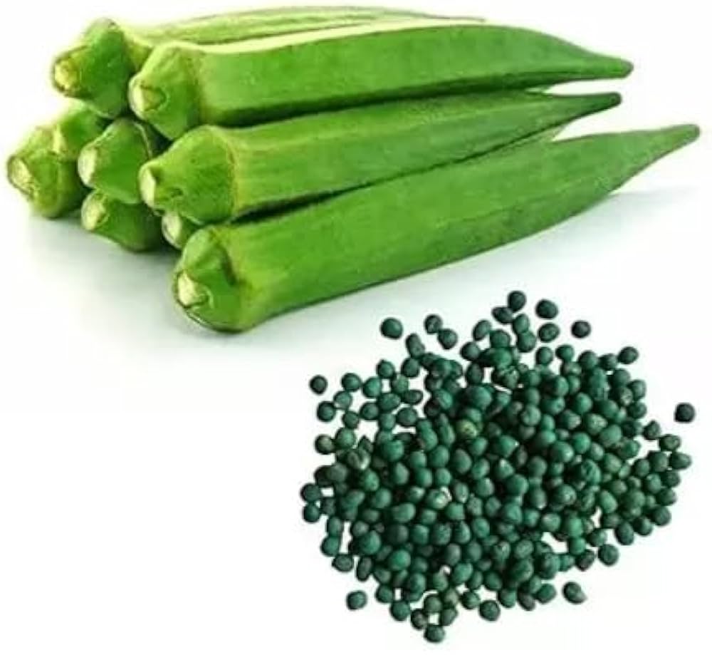 Okra Seeds for Planting Abelmoschus esculentus for vegetable patches and home gardens