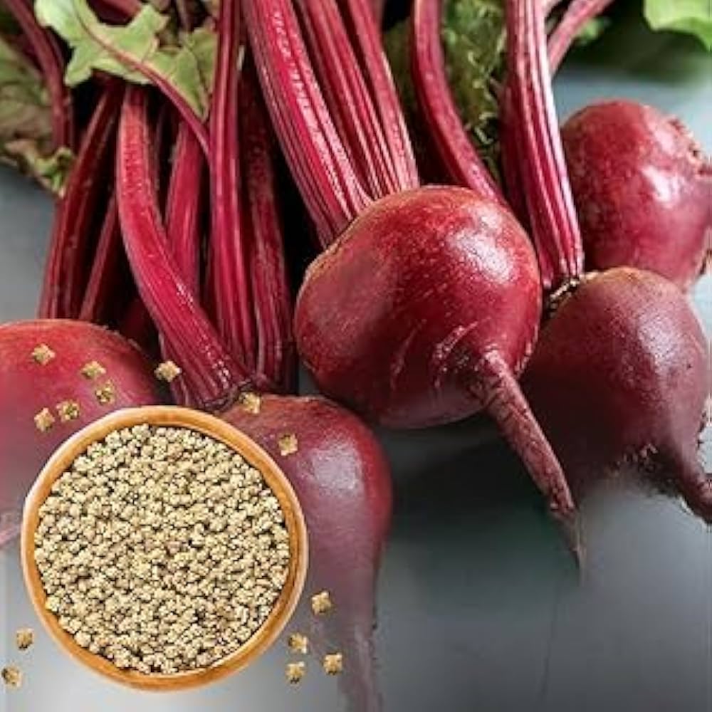 Beetroot Seeds for Planting Beta vulgaris for kitchen gardens and urban vegetable patches