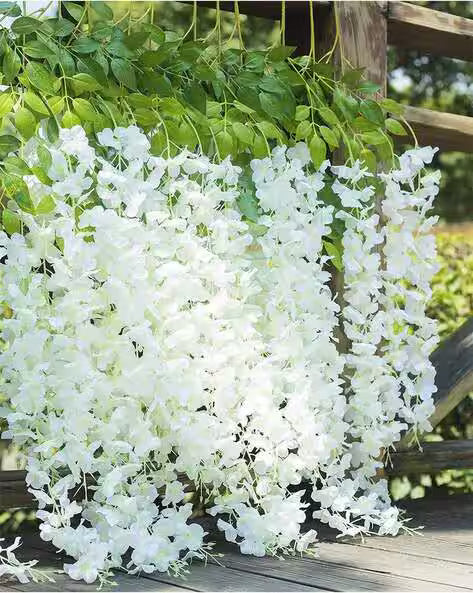White Wisteria Flower seeds for Planting - Cottage Garden Essential, Heirloom & GMO Free Seeds for Home Garden
