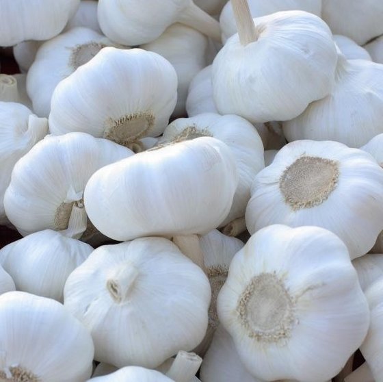 White Garlic Seeds For Planting - Premium Vegetable Seeds