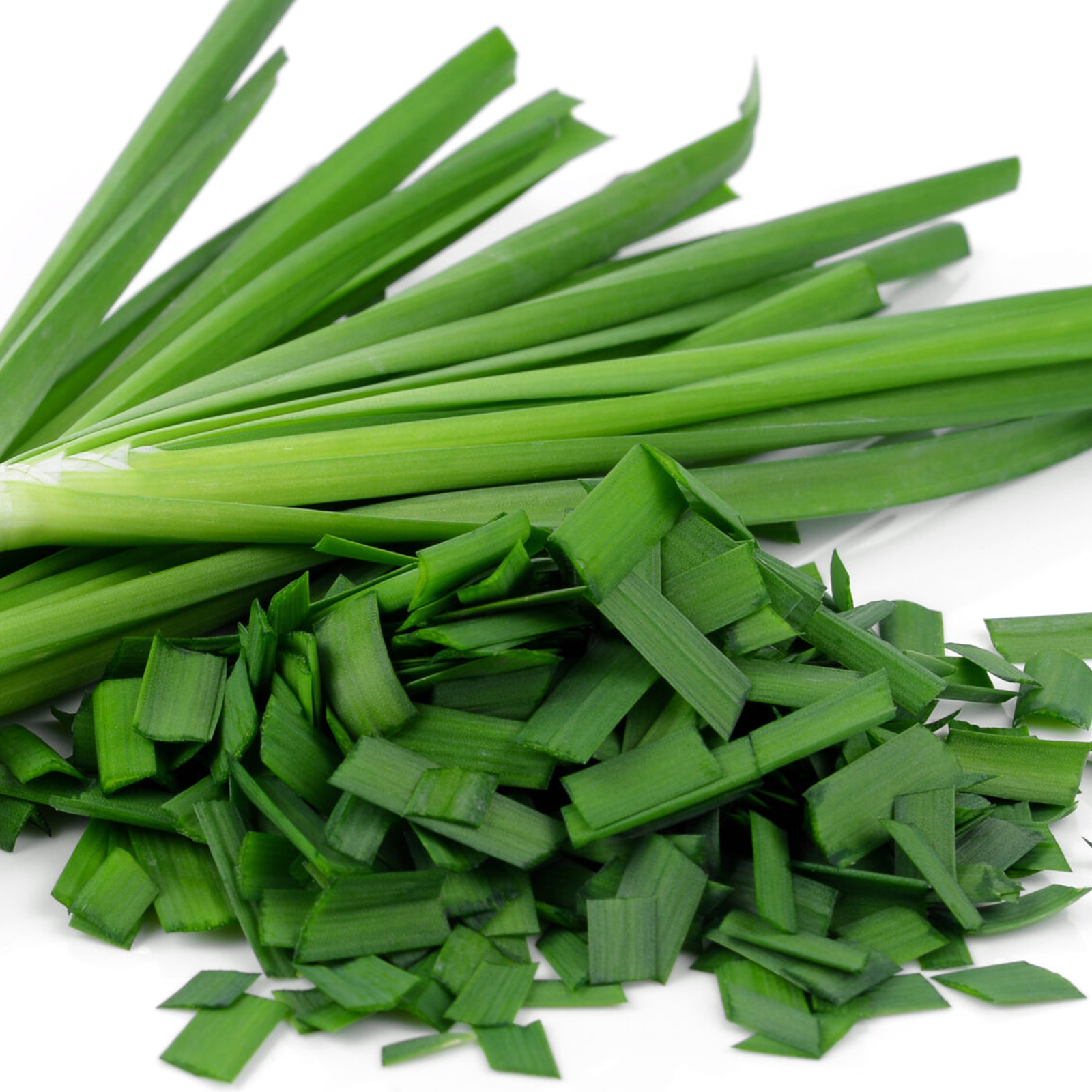 Chinese Chive Seeds for Aromatic Herb Plants