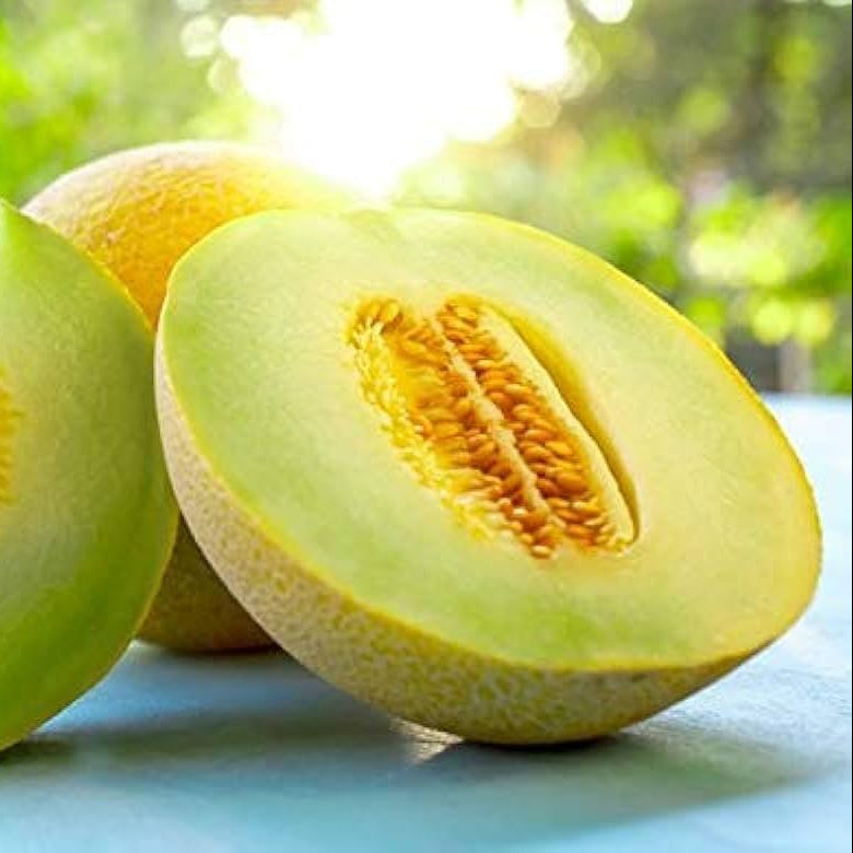 Lemon Drops Melon Cucumis melo Seeds for Planting in Garden & Orchard - Evergrowseeds