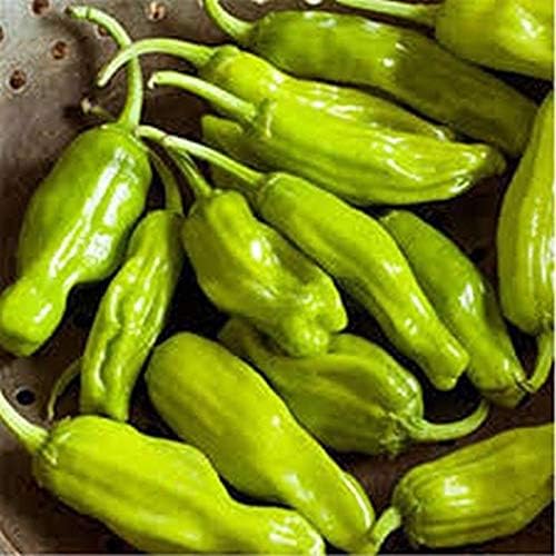 Golden Greek Pepperoncini Seeds for Mild, Tangy Peppers