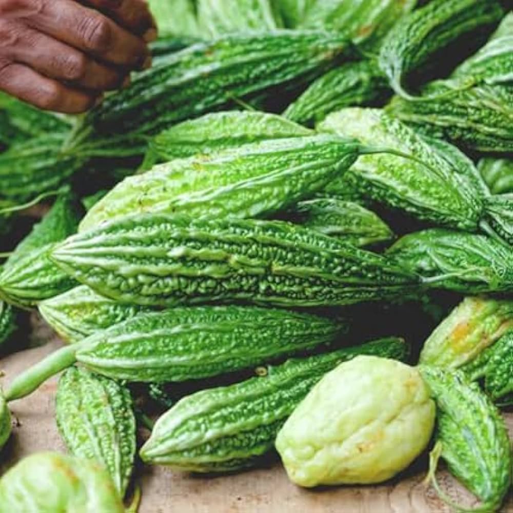 Bitter Gourd Seeds for Planting Momordica charantia for tropical vegetable patches and home gardens