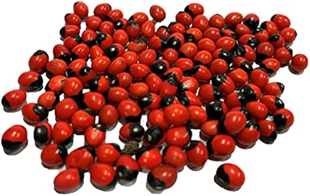 Ravanello Sileziya Raphanus Sativus Seeds for Planting - Ideal for Flower Bed & Vegetable Patch