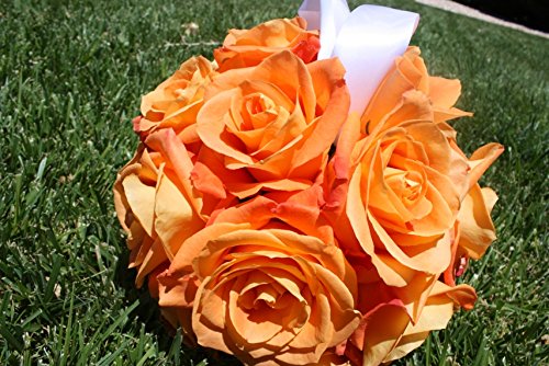 Eustoma Flower Seeds for Planting - Vibrant Orange Blooms for a Beautiful Garden