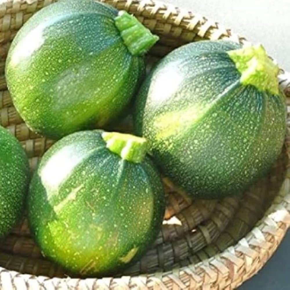 Crookneck Squash Seeds for Planting Cucurbita pepo for vegetable patch and raised beds