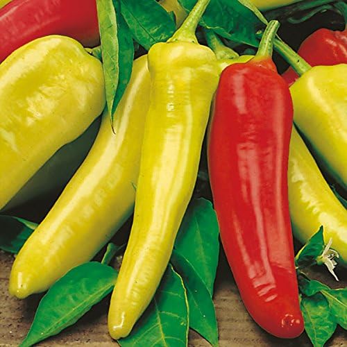 Hungarian Sweet Wax Pepper Seeds for Mild, Sweet Peppers