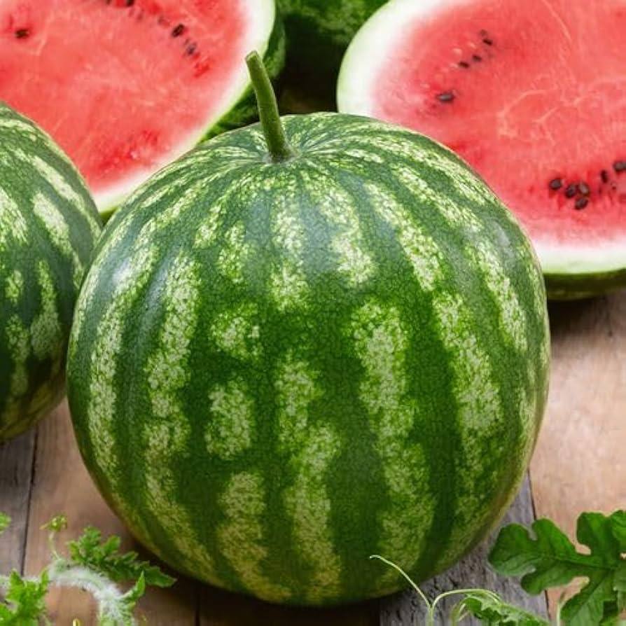 Wassermelone Fruit Seeds for Planting - Grow Your Own Juicy Watermelons - Evergrowseeds