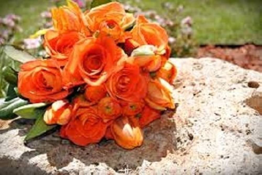 Eustoma Flower Seeds for Planting - Vibrant Orange Blooms for a Beautiful Garden