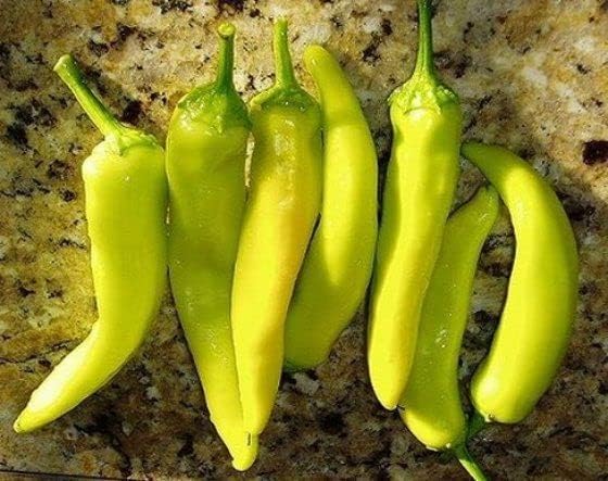 Hungarian Wax Pepper Seeds for Hot, Flavorful Peppers