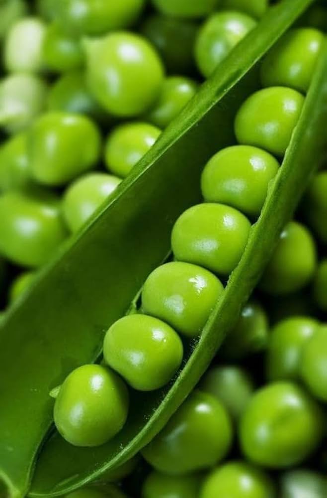 Peas Vegetable Seeds for Easy Planting