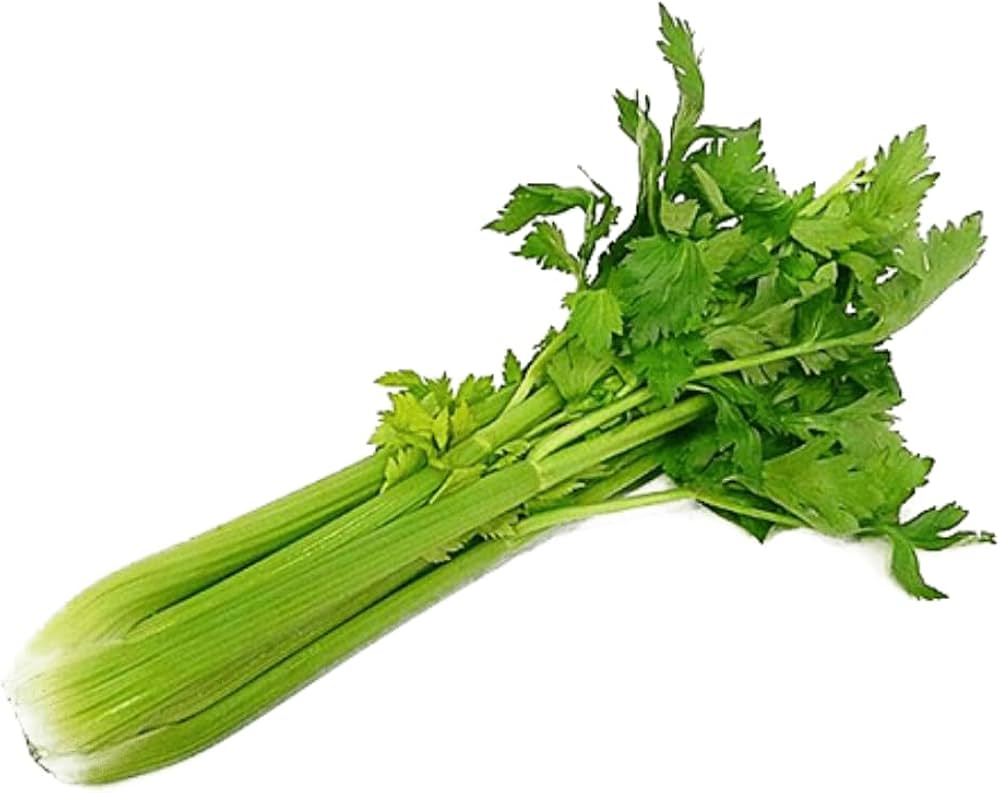 Laika Parsley Petroselinum Crispum Seeds for Planting - Ideal for Herb Garden & Vegetable Patch