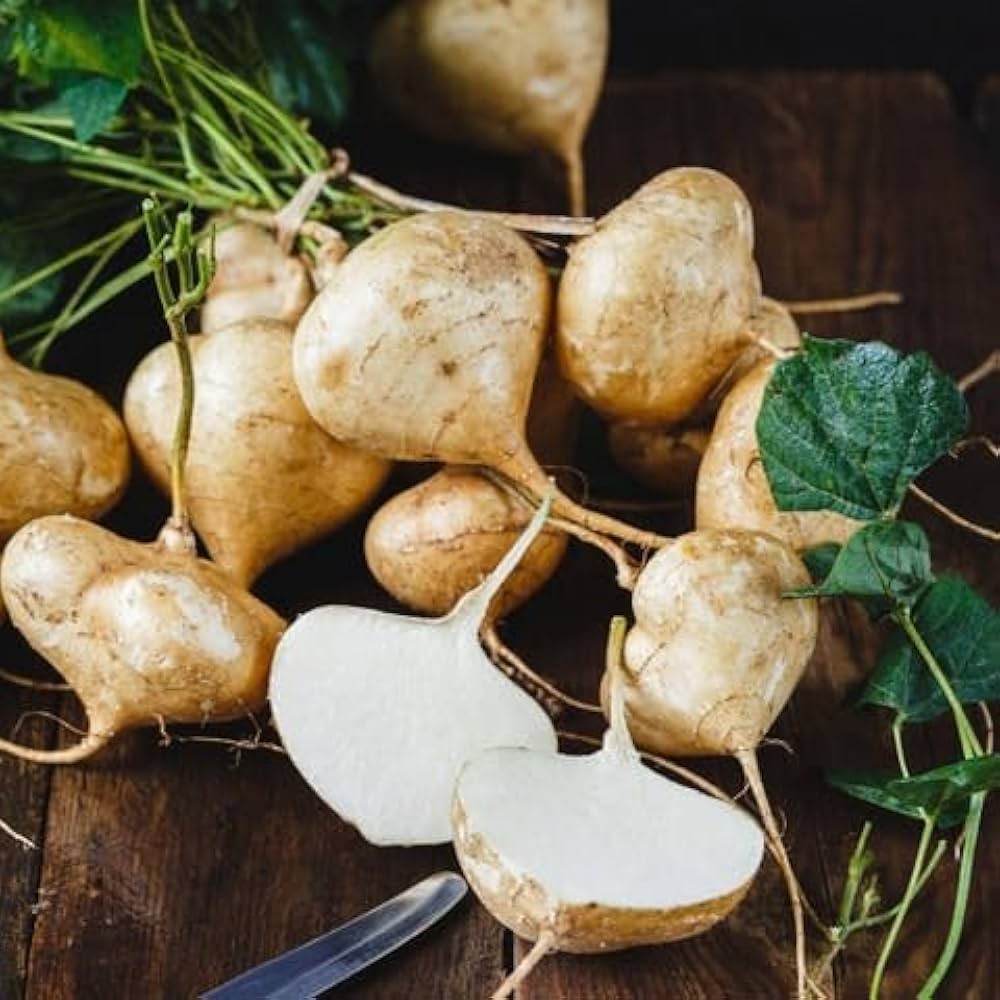 Pachyrhizus Vegetable Seeds for Planting