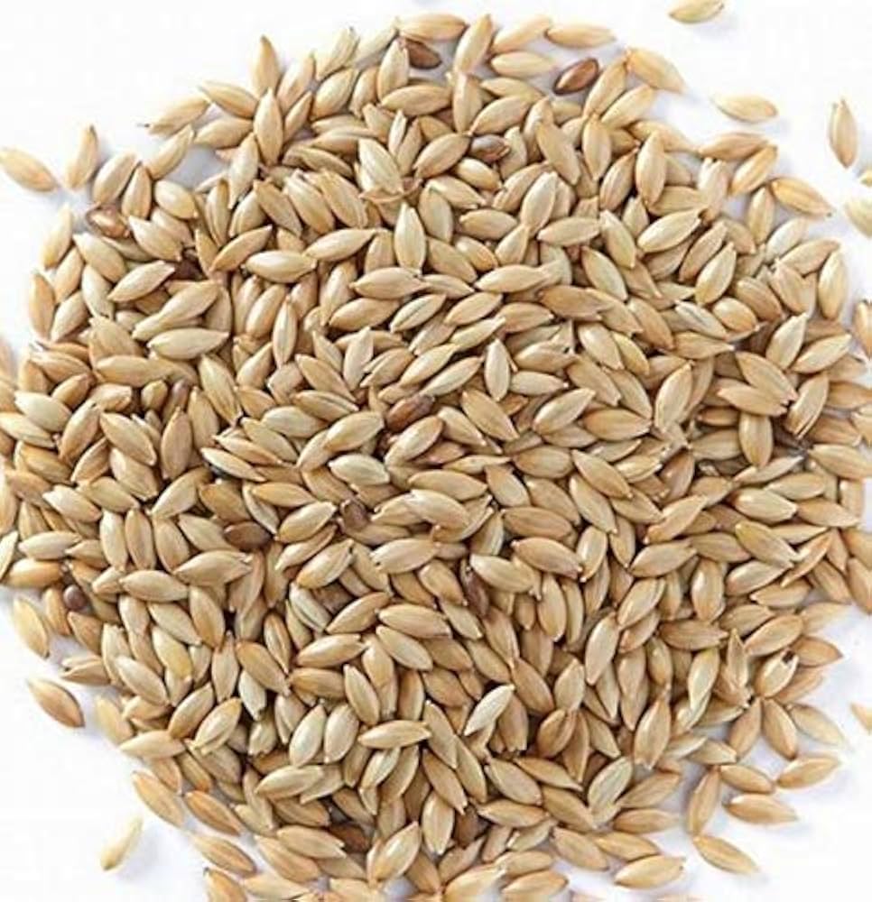 Cream Forage Crop Seeds Planting Guide: Essential Tips for Successful Planting