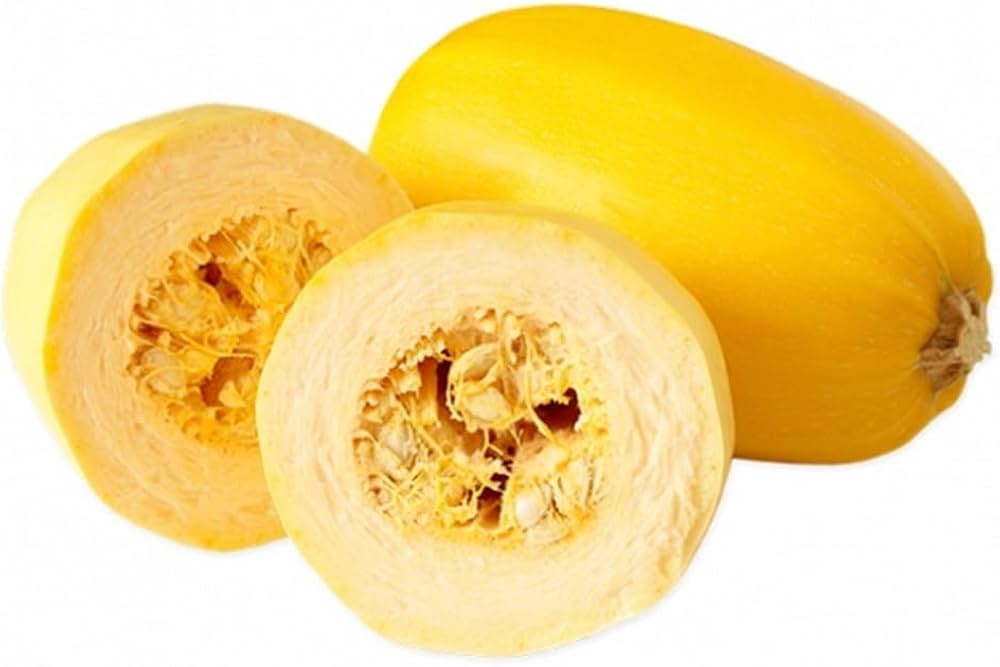 Spaghetti Squash Melon Seeds Cucurbita pepo for Planting in Vegetable Patch