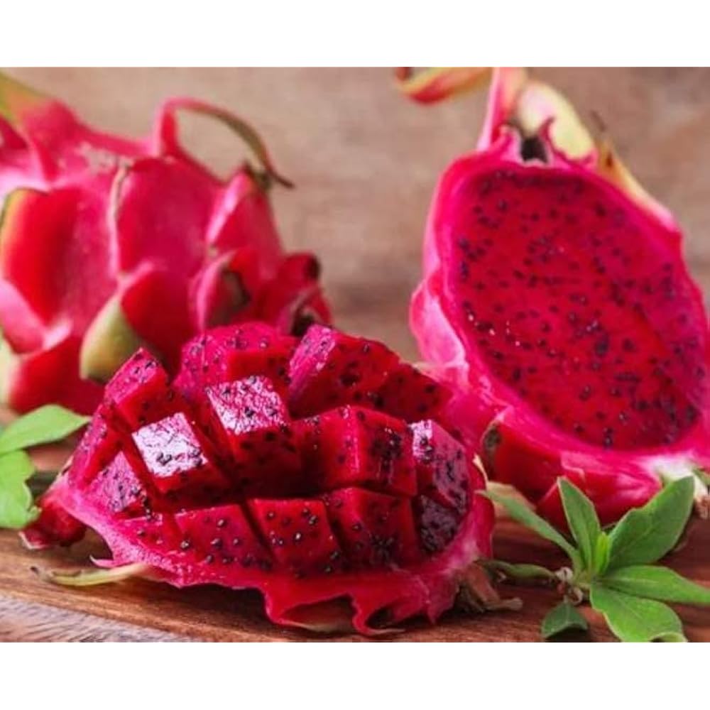 Pink Pitaya Seeds for Planting Grow Your Own Delicious Dragon Fruit