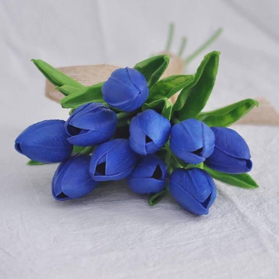 Tulip Blue Flower Seeds for Planting Vibrant Blue Blooms for Your Garden