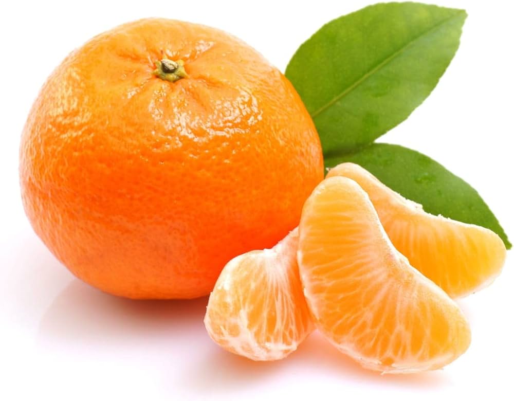 Orange Citrus sinensis for planting in home garden