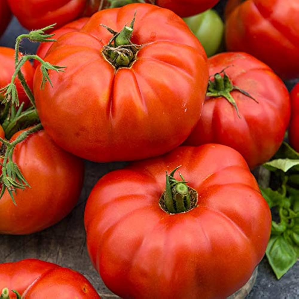 Giant Tomato Vegetable Planting Seeds