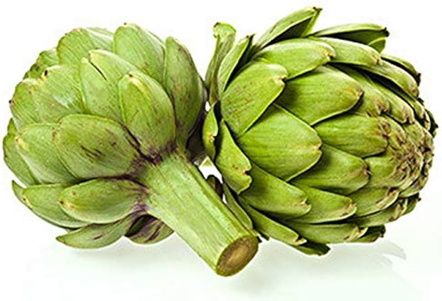 Jerusalem Seeds for Planting Cynara scolymus for vegetable patches and home gardens