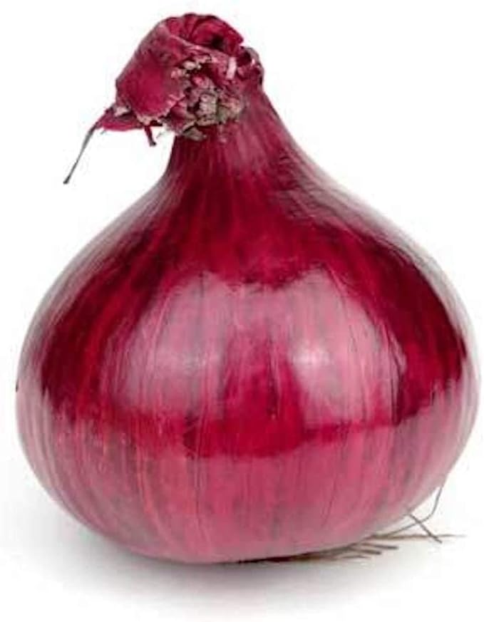 Red Grano Onion seeds for sweet onions