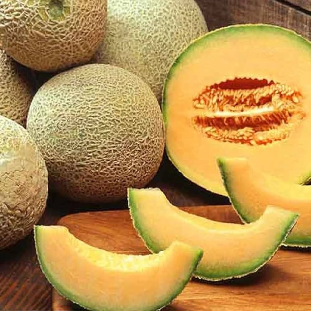 Sweet Melon Fruit Cucumis melo Seeds for Planting in Vegetable Patch & Garden