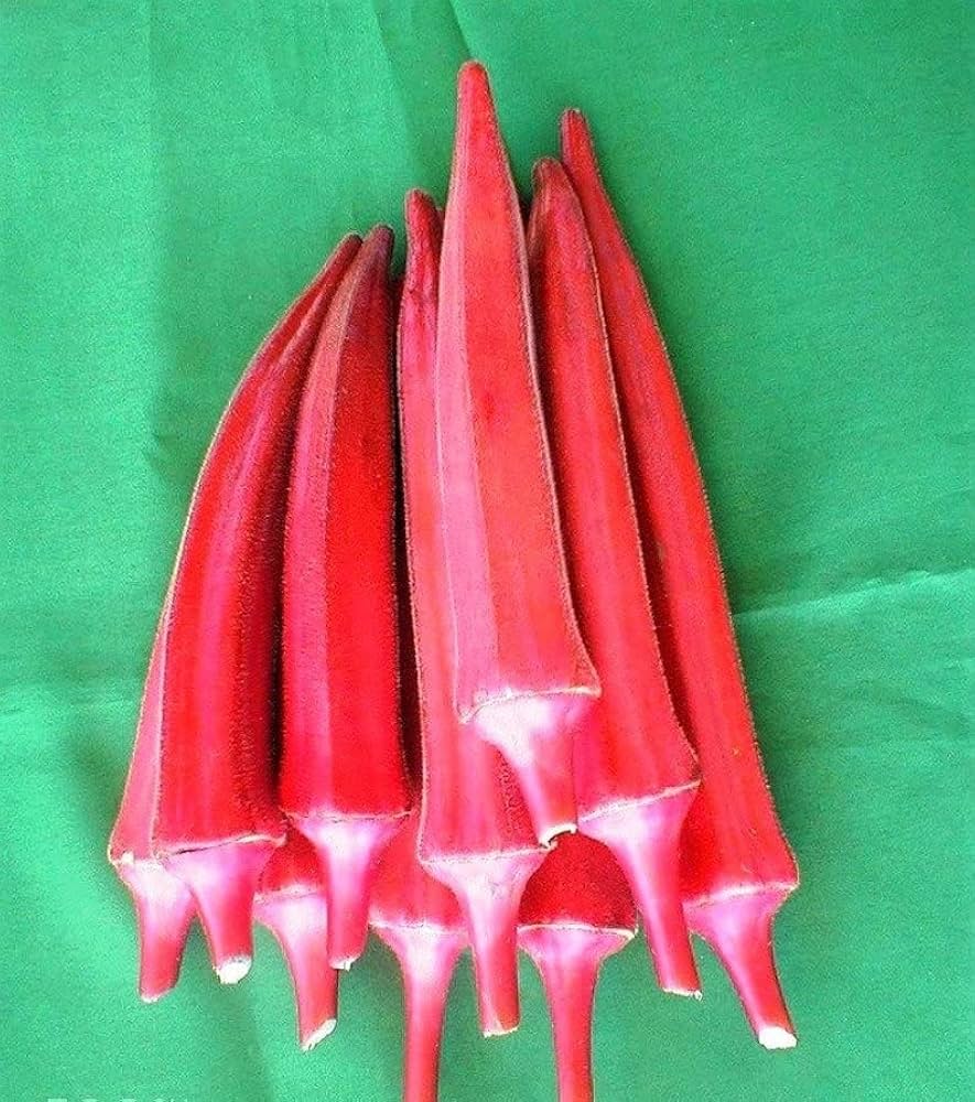 Seltene KochenFlowers Okra Red Burgundy Seeds for Planting - Perfect for Vegetable Garden