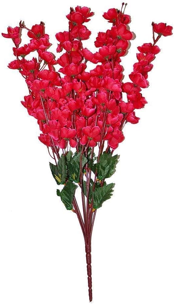 Red Weeping Forsythia Flower seeds for Planting - Colorful Display, Heirloom & GMO Free Seeds for Home Garden