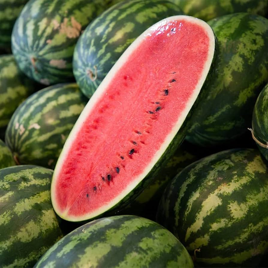 Kongo Watermelon Seeds for Planting Citrullus lanatus for vegetable patches and home gardens