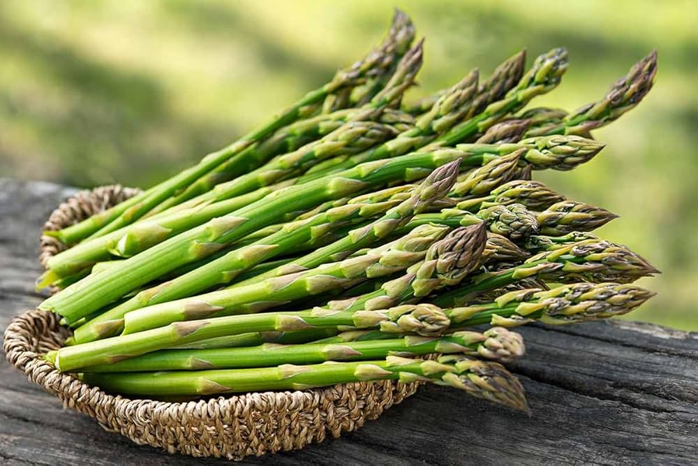 Green Asparagus Vegetable Seeds for Home Planting