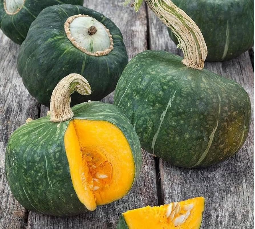 Burgess Buttercup Squash Seeds for Planting vegetable patch for Planting, Premium Seeds | Heirloom Non-GMO