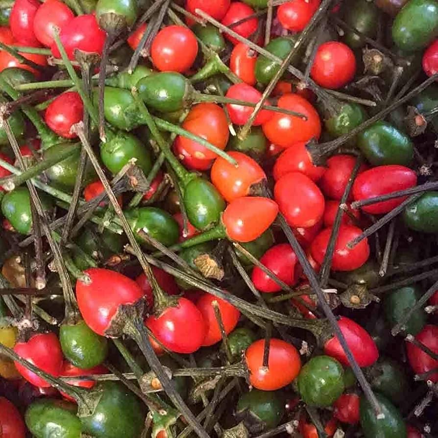 Set of 20 Texas Chiltepin Pepper flower seeds by Evergrowseeds, ideal for planting Capsicum annuum peppers.