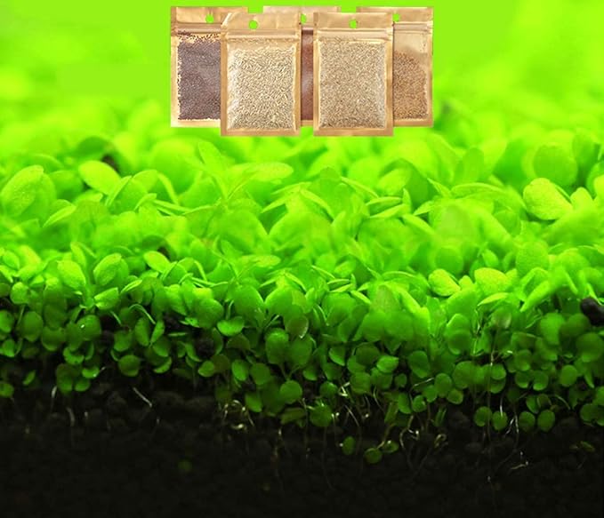 Aquarium Grass Seeds, Water Plants for Indoor Decoration