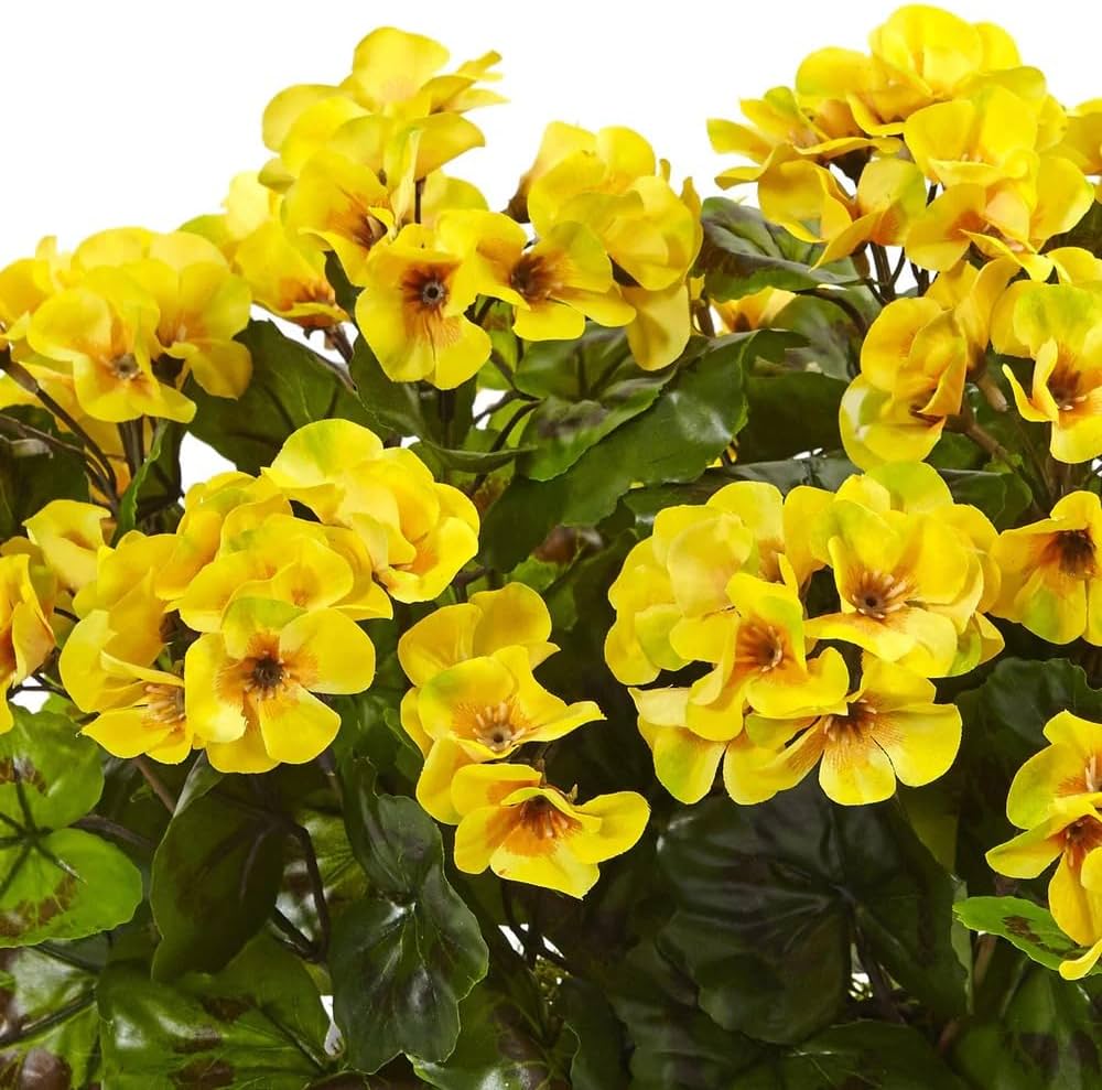Yellow Geranium Pelargonium Flower Seeds for Planting Cottage Garden Essential Heirloom & GMO Free Seeds for Home Garden
Sale