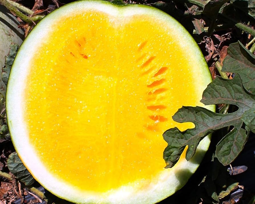 Mixed Rare Chinese Watermelon Seeds Citrullus lanatus for Planting in Garden & Vegetable Patch