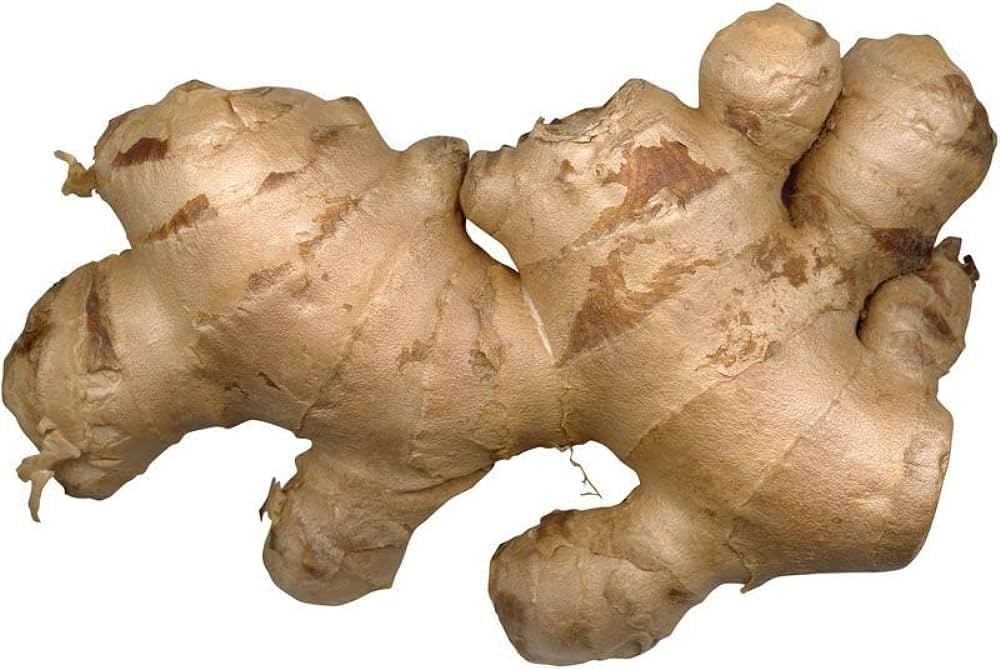 Imported Ginger Balcony Vegetables Seeds