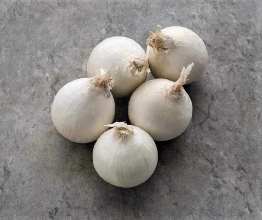 Southport White Globe Onion Seeds Allium cepa for Planting in Kitchen Garden and Vegetable Patch