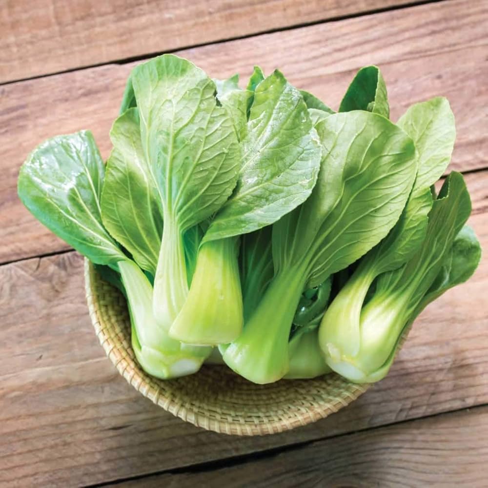Joi Choi Seeds for Planting Brassica rapa for vegetable patches and home gardens